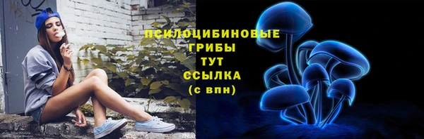 не бодяженный Лабытнанги