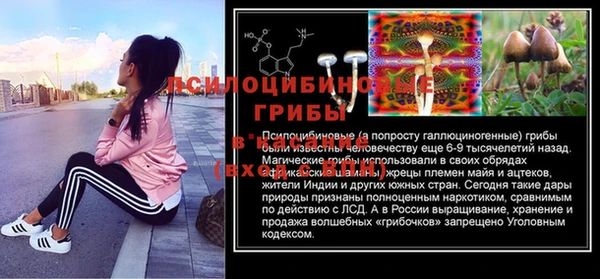 прущая мука Кукмор