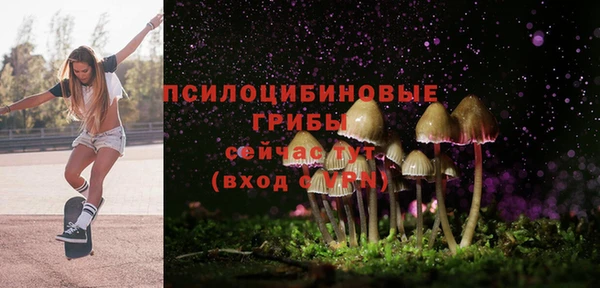 прущая мука Кукмор