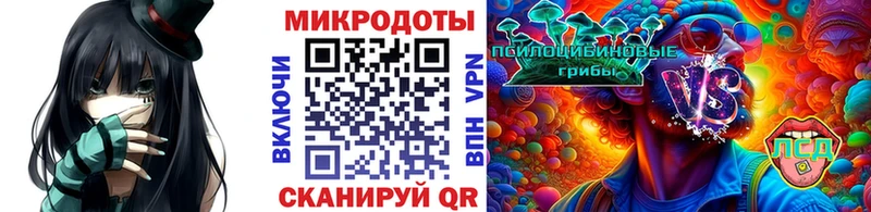 Купить где  Верхняя Пышма  Галлюциногенные грибы мицелий 